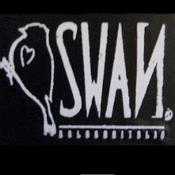 Swan Abbigliamento e Calzature Donna