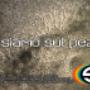 Finiture Decorative e Processi Speciali