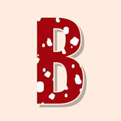 Supermercato Badiola