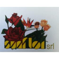 Sunflor