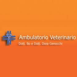 Studio Veterinario Dr. Bo E Dora Genocchi