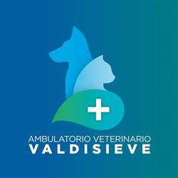 Ambulatorio Veterinario Valdisieve