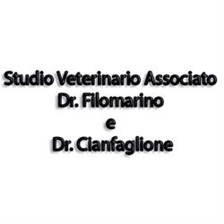 Medico Veterinario Dott.ssa Gigliola Filomarino c/o la struttura Vet4Pet