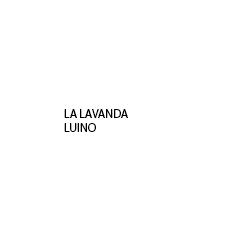 La Lavanda Luino