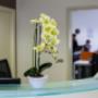 Gallery Professionale