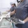 Sterilizzazione