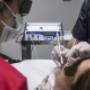 Laser terapia
