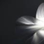 Illuminazione di Fibra Ottica