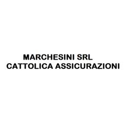 Marchesini - Cattolica Assicurazioni