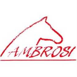 Sport Ambrosi