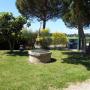 giardino (particolare)