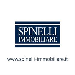 Spinelli Immobiliare