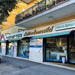 Spinaci Alberto