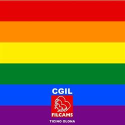 Filcams CGIL Ticino Olona
