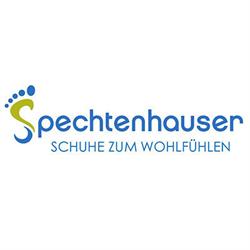 Spechtenhauser Dietmar e C. Sas