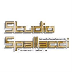 Revisore Contabile Spallacci Sauro Stefano Sergio