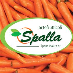 Spalla Mauro SRL