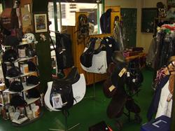 Sosisprones Selleria