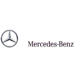 Mercedes-Benz Sondrio Diesel