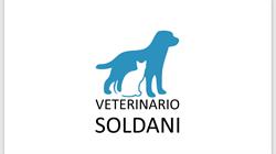 Ambulatorio veterinario Soldani dr.Alessandro