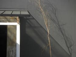 Solci Tanja Studio