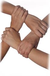 Societa' Cooperativa Ibis (Srl)