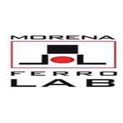 Morena Ferro Lab.