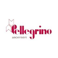 Pellegrino Ascensori