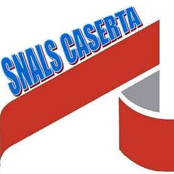 Sindacato Snals