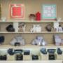 Gallery Professionale