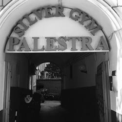 ROMIS SSD arl - Palestra Silver Gym Roma