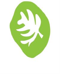 Signorini Associati