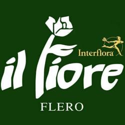 Shopping Il Fiore