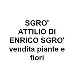 Sgro' Attilio