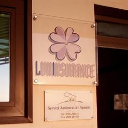 Servizi Assicurativi Apuani Di Angelini Daniela