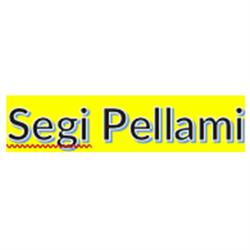 Segi Pellami