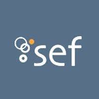 Sef SRL
