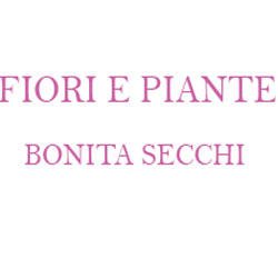 Secchi Maria Bonaria