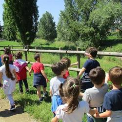 Scuola Materna Del Secco Abelli
