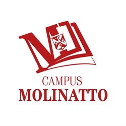 Scuola Madonnina Del Duomo