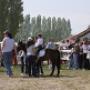 Equitazione