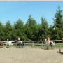 Equitazione