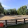 Equitazione