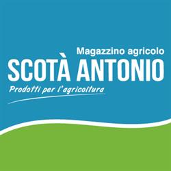 Scota' Antonio