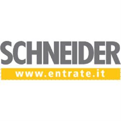 Cancelli Automatici Schneider Raffaele