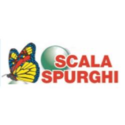 Scala Spurghi - Pozzi Neri - Scaligera Servizi