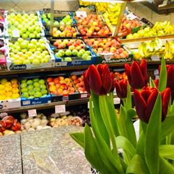 EDEN Frutta e Verdura