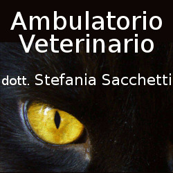 Veterinario Scacchetti Stefania