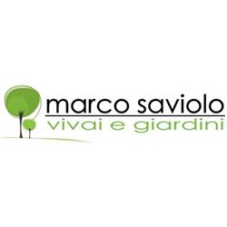 Saviolo Marco Vivai Giardini