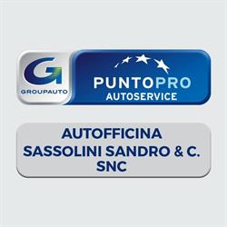 Sassolini Sandro & C. (S.n.c.)